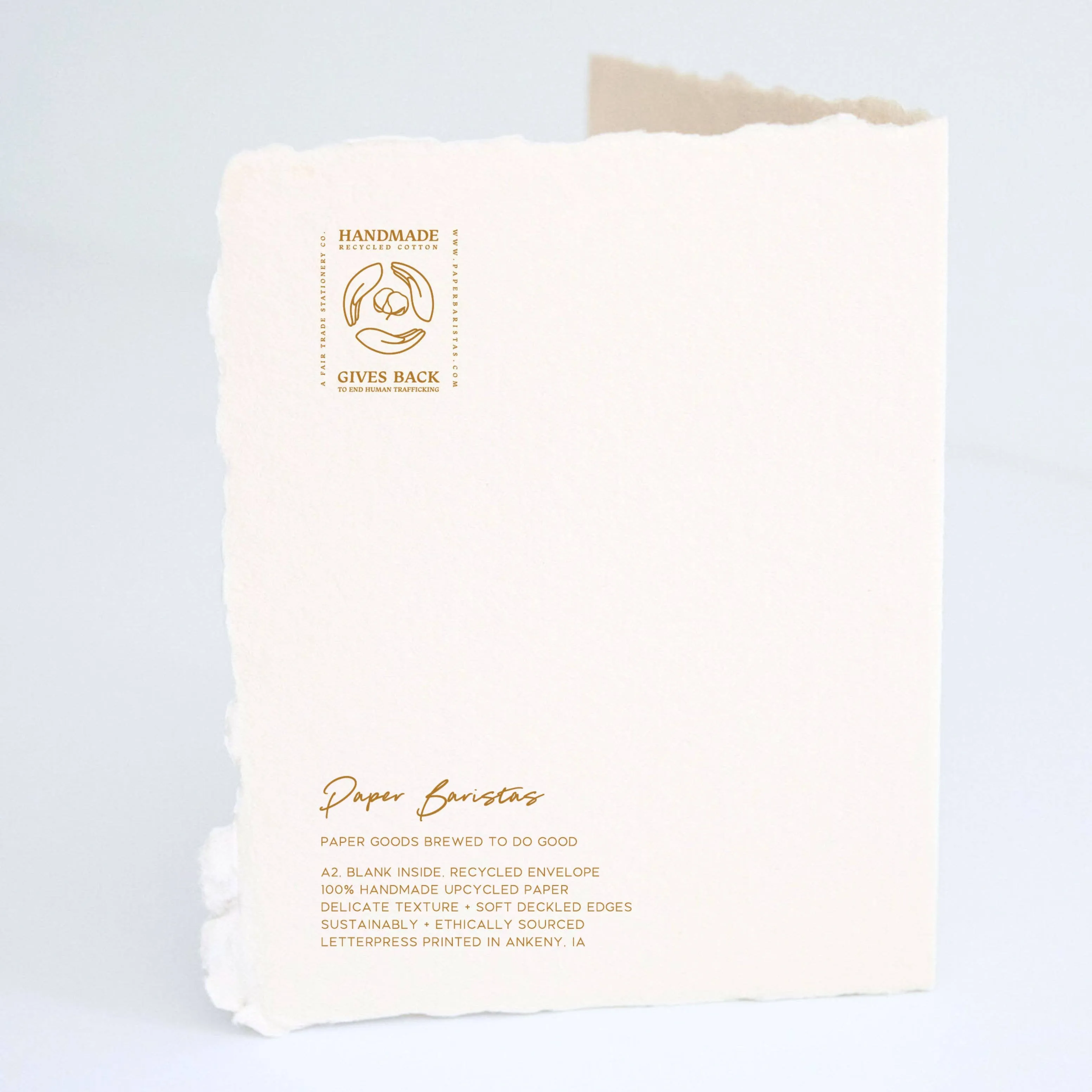 For the Lovebirds | Eco-Friendly Wedding Greeting Card