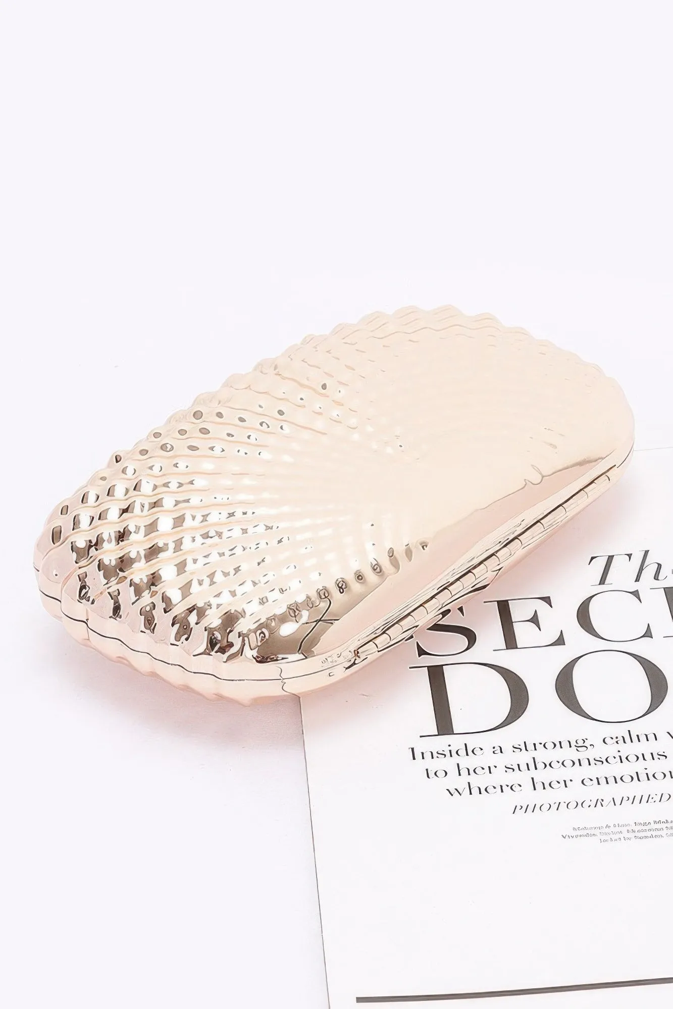 Metal Case Clutch